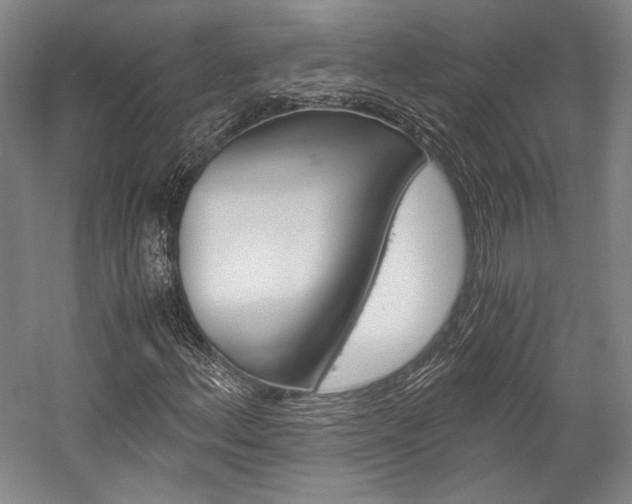 X0000057041156200509090809