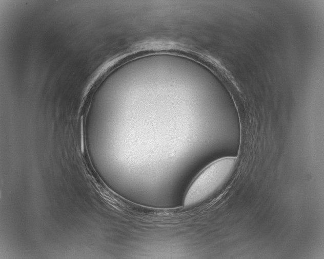 X0000057041175200509090808