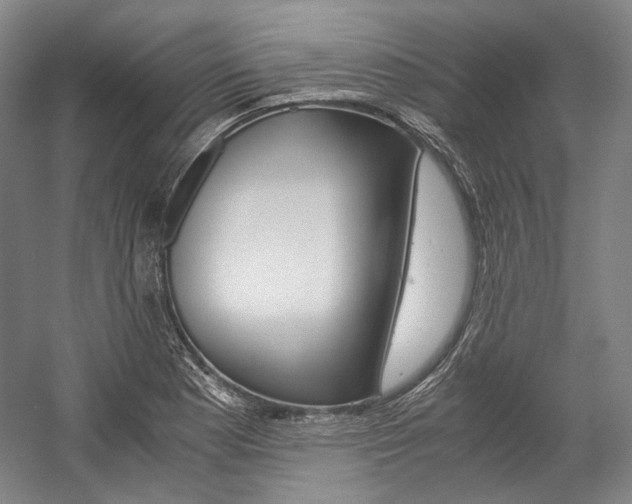 X0000057041177200509090808