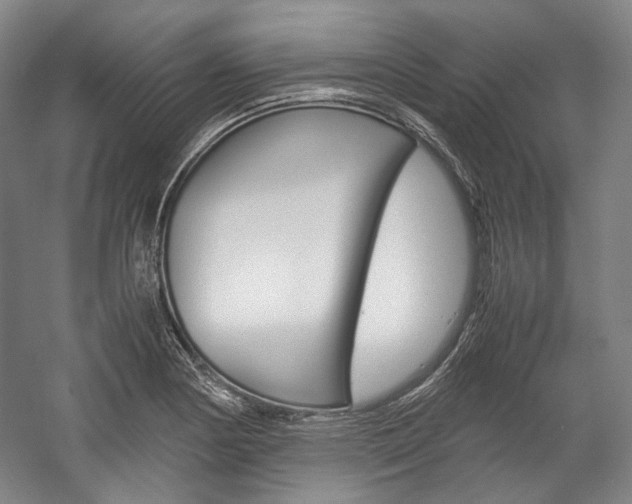 X0000057041178200509090808