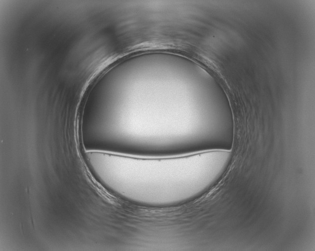 X0000057041179200509090808