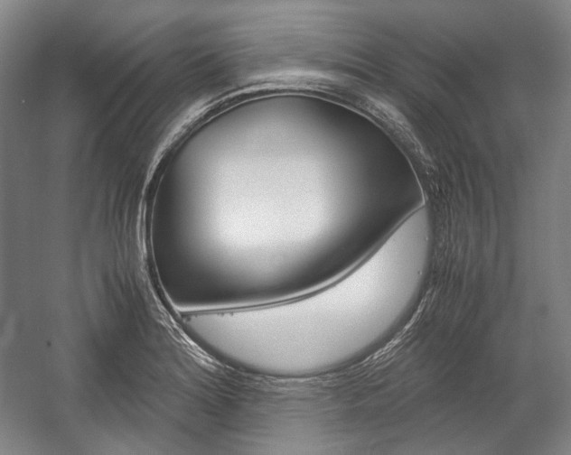 X0000057041180200509090808