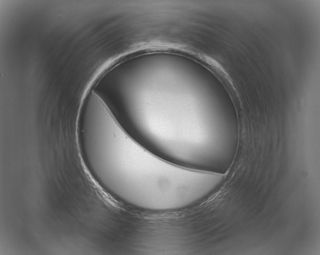 X0000057041183200509090808
