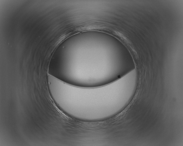 X0000057041185200509090808