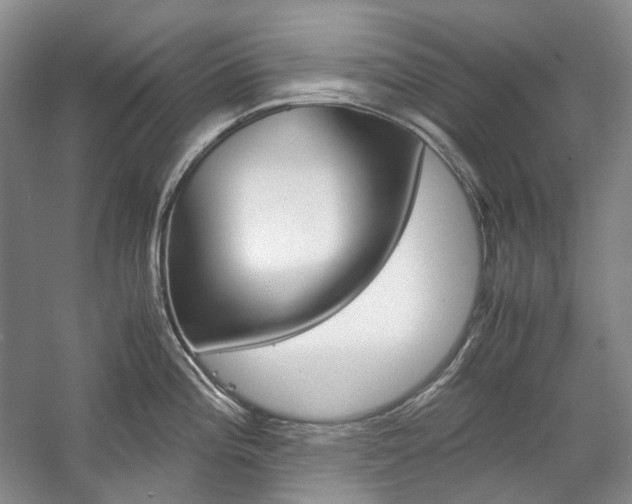 X0000057041196200509090808