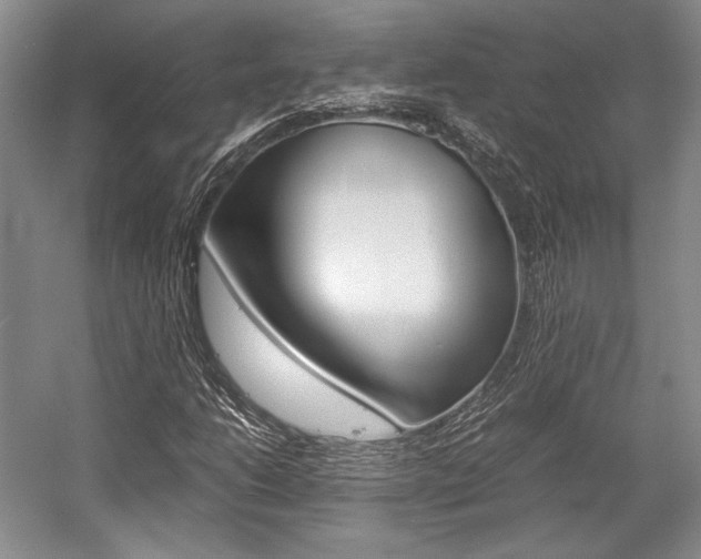 X0000057041206200509090807