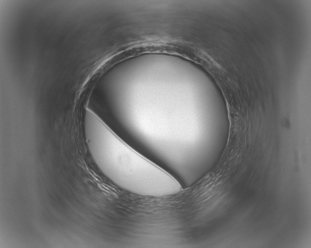 X0000057041208200509090807