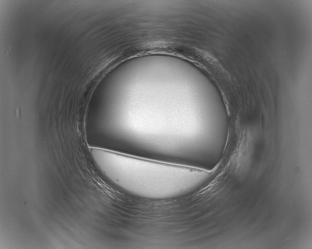 X0000057041209200509090807