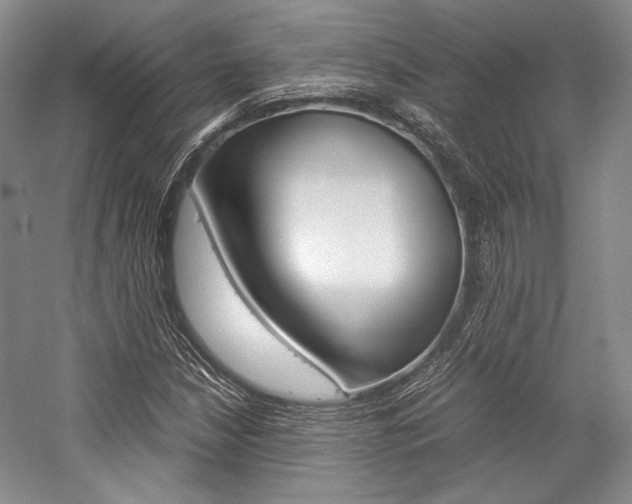 X0000057041210200509090807