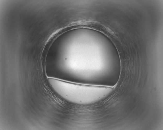 X0000057041214200509090807