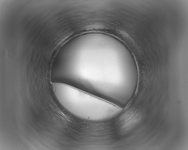 X0000057041217200509090807