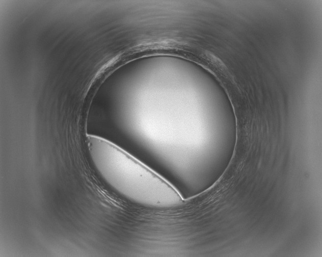 X0000057041218200509090807