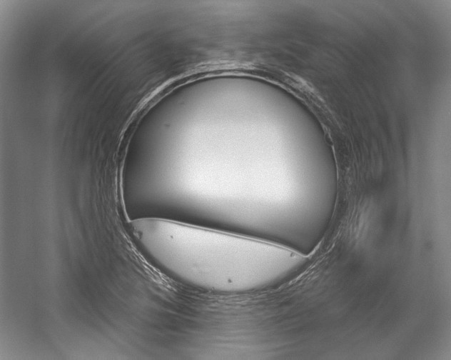 X0000057041220200509090807
