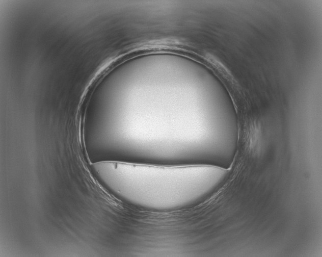 X0000057041224200509090808