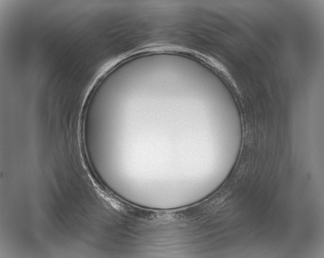 X0000057041231200509090808