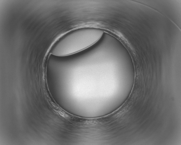 X0000057041232200509090808