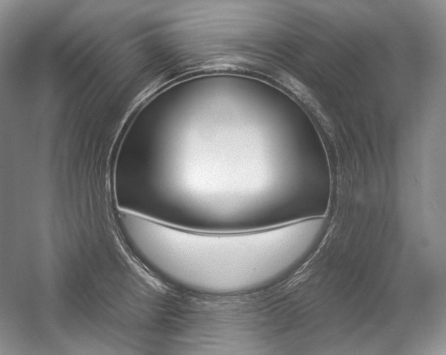 X0000057041234200509090808