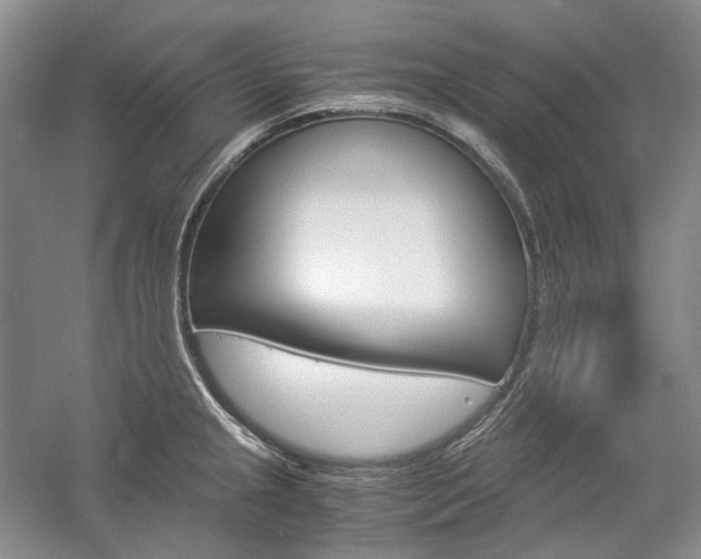 X0000057041237200509090808
