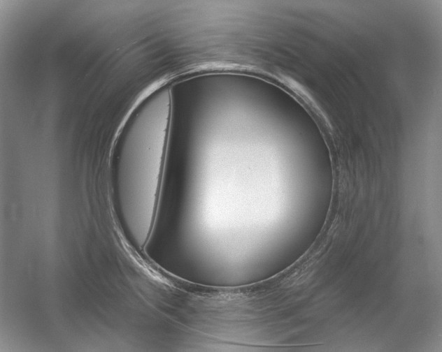 X0000057041238200509090808