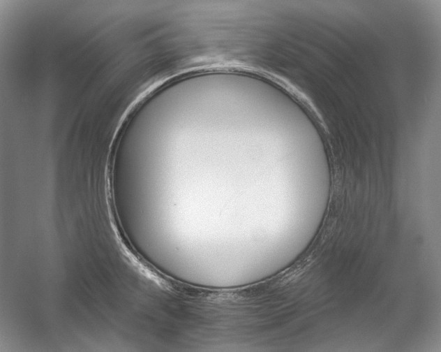 X0000057041239200509090808