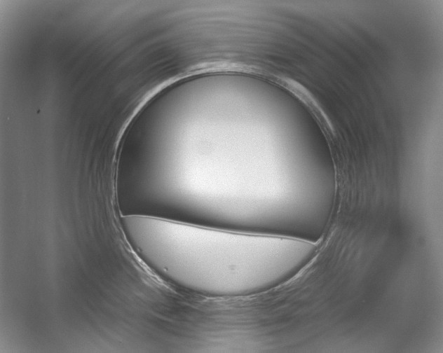 X0000057041244200509090808