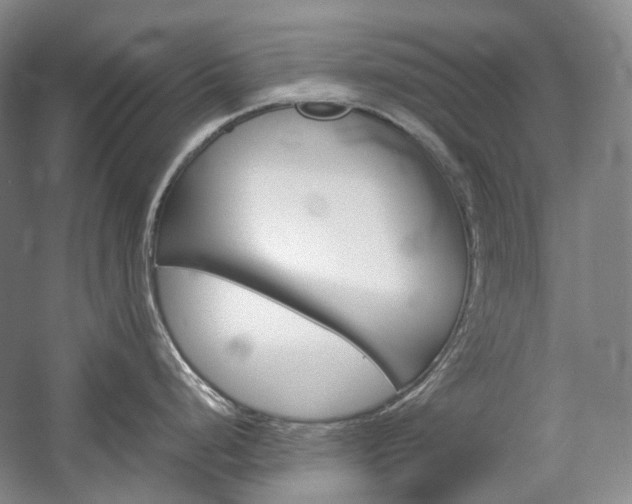 X0000057041248200509090808