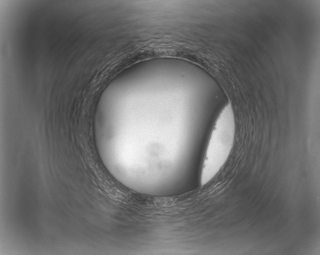 X0000057041249200509090807