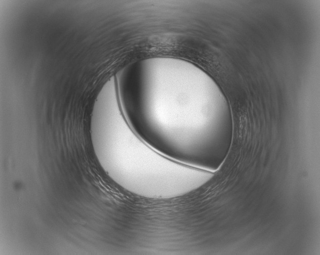 X0000057041250200509090807