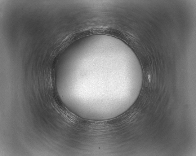 X0000057041252200509090807