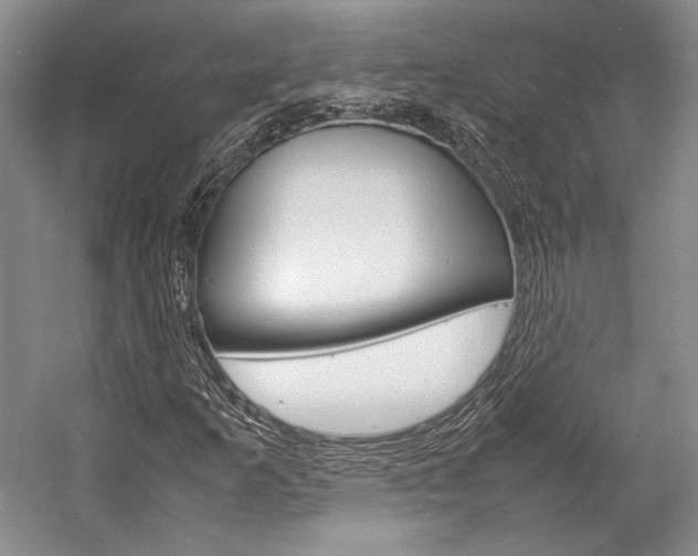 X0000057041253200509090807