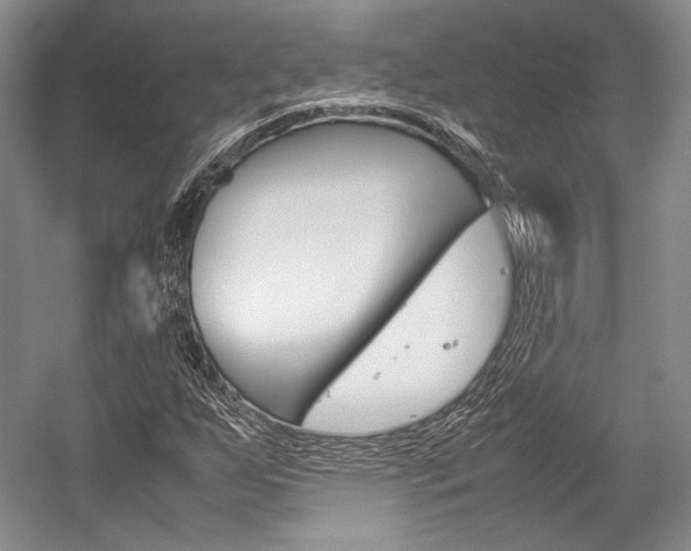 X0000057041255200509090807