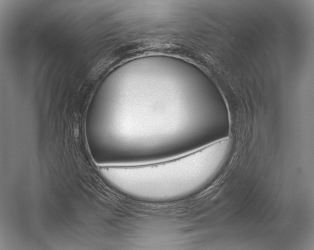 X0000057041257200509090807