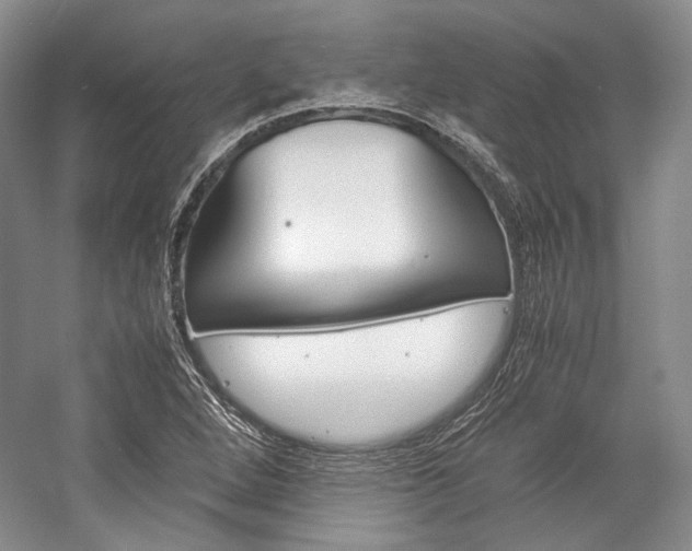 X0000057041264200509090807
