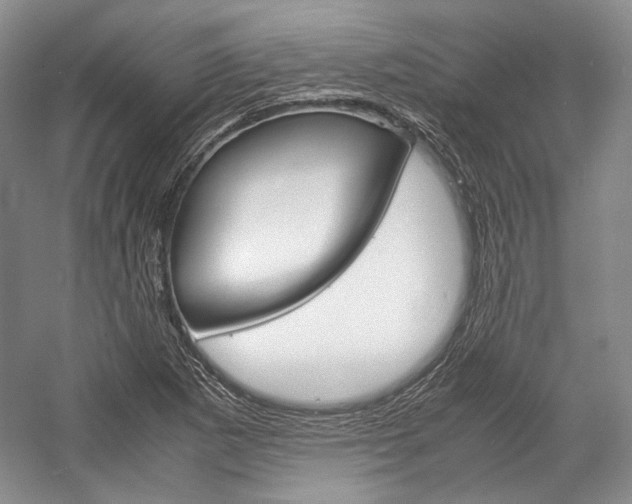 X0000057041265200509090807