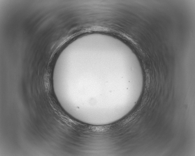 X0000057041266200509090807