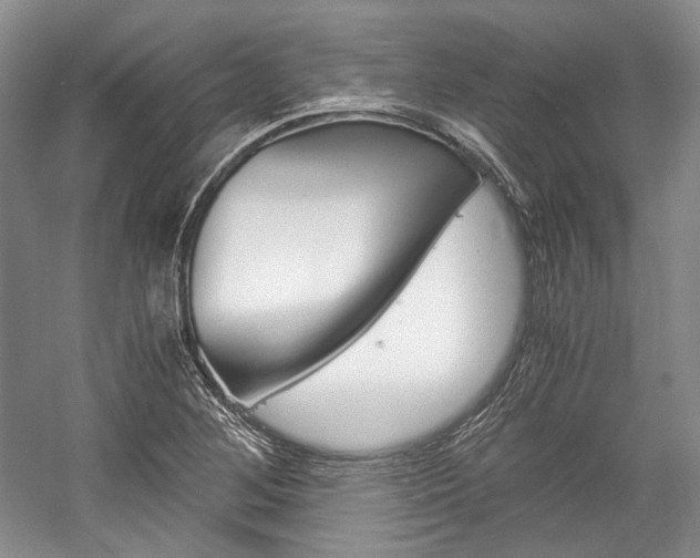 X0000057041268200509090807