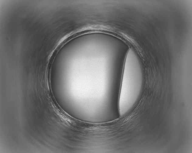 X0000057041272200509090807
