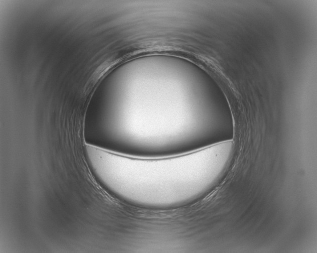 X0000057041273200509090807