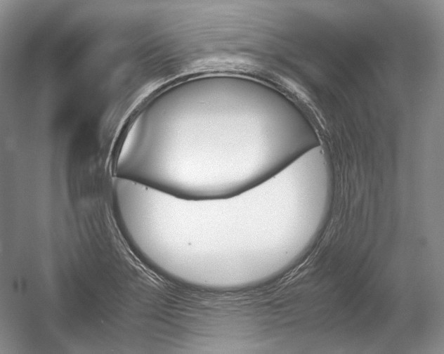 X0000057041275200509090807