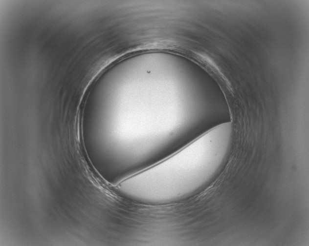 X0000057041276200509090807