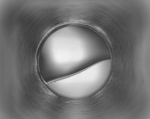 X0000057041280200509090807