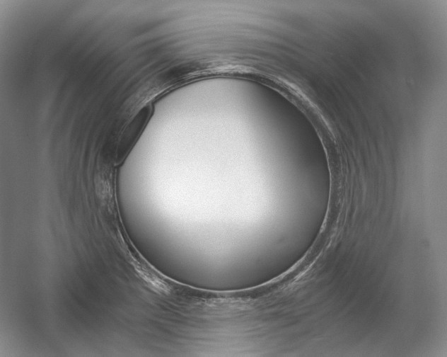 X0000057041281200509090807
