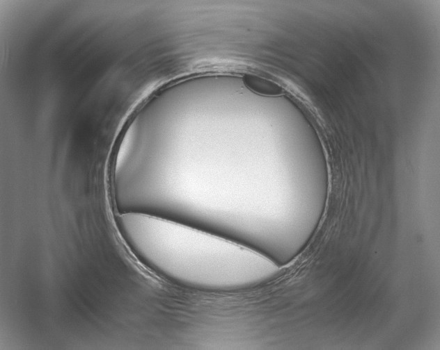 X0000057041283200509090807
