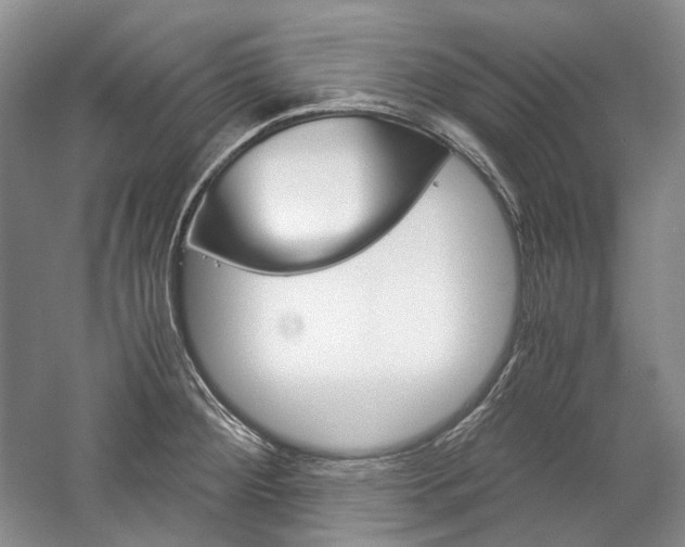 X0000057041284200509090807
