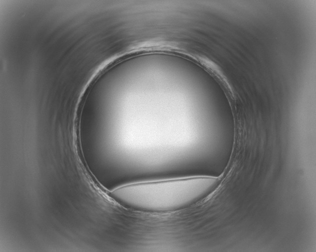 X0000057041288200509090806