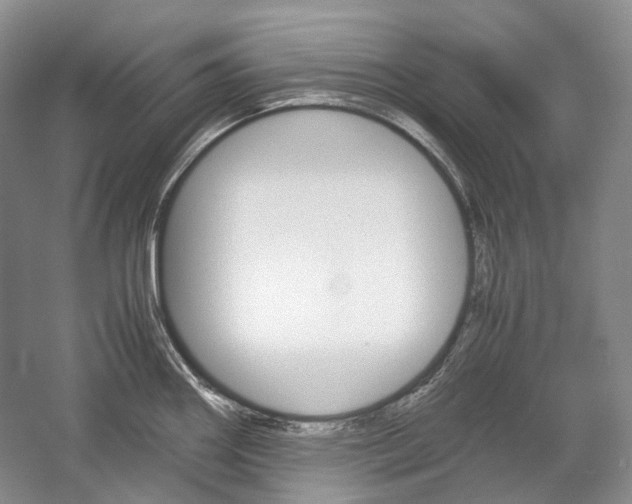 X0000057041290200509090806