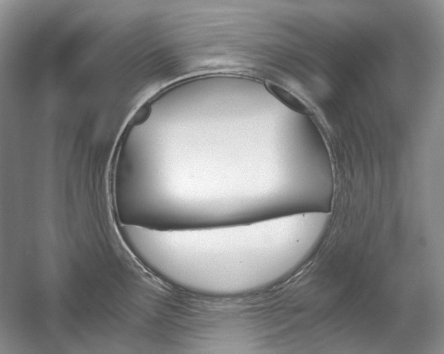 X0000057041291200509090806
