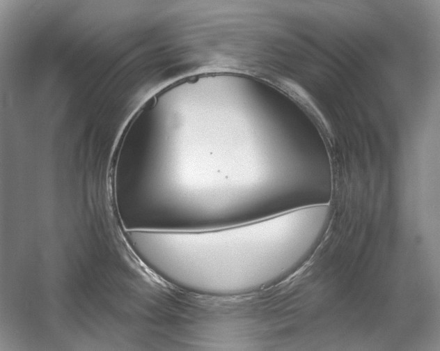 X0000057041292200509090806