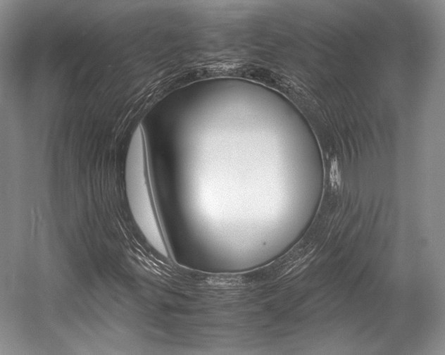 X0000057041299200509090806