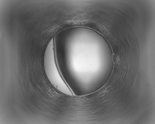 X0000057041300200509090806